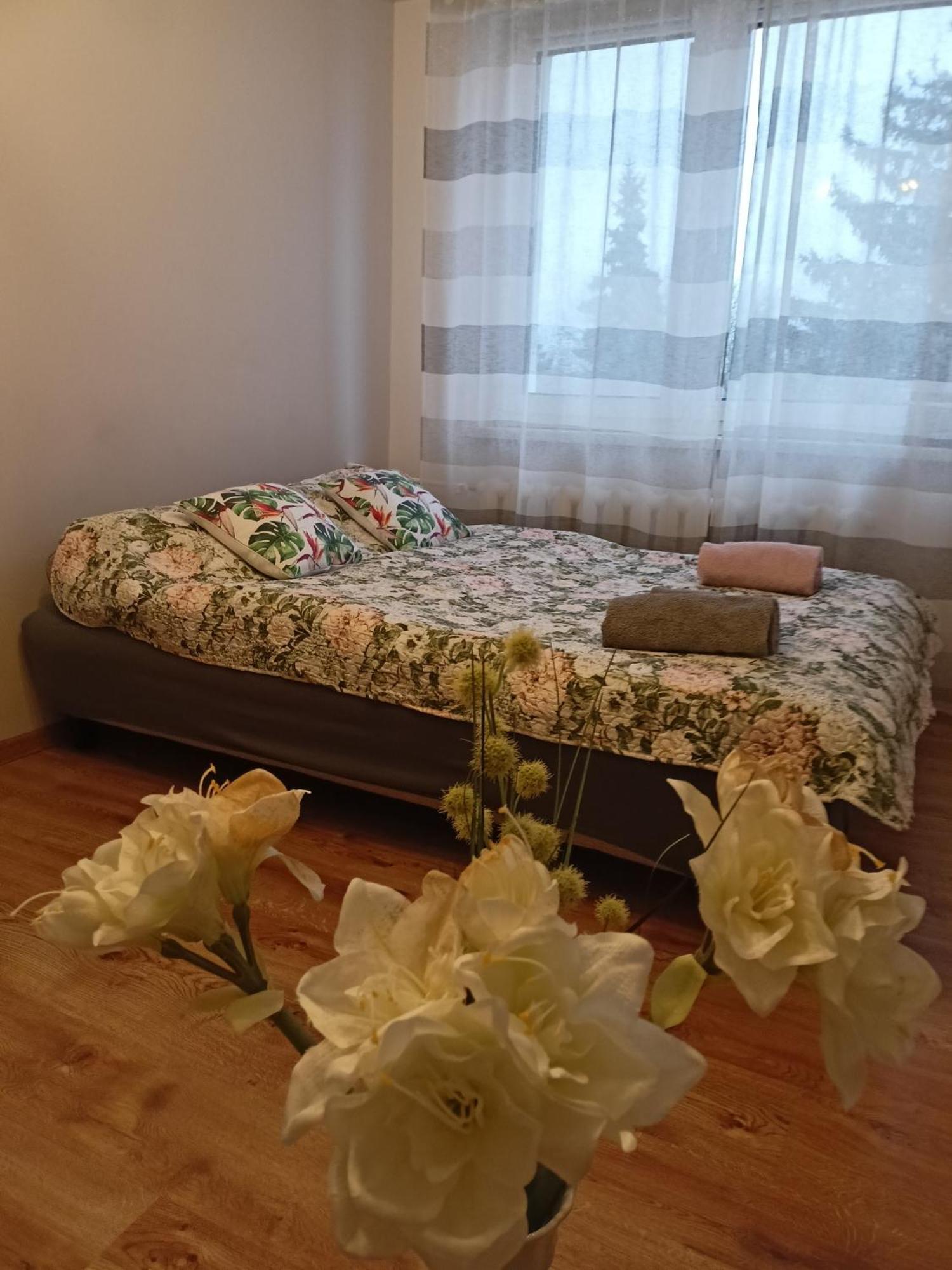 Apartament Guner Белхатув Екстер'єр фото